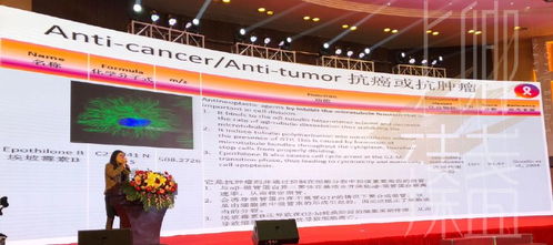 上卿臻盞創始人受邀參加國際燕窩認證研討會，共襄全球燕窩文化學術交流盛舉